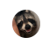 testimonial image